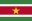 Flag of Suriname | Vlajky.org