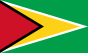 Flag of Guyana | Vlajky.org