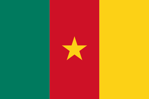 Flag of Cameroon in the Africa | National states flags of the World countries