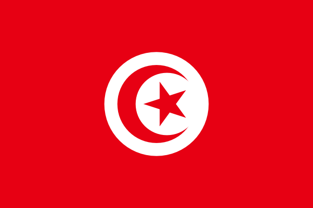 Flag of Tunisia in the Africa | National states flags of the World countries